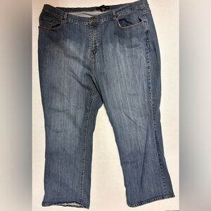 Lane Bryant Venezia Ladies Plus Size Jeans Size 28 Average